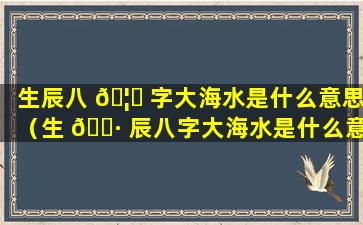 生辰八 🦟 字大海水是什么意思（生 🕷 辰八字大海水是什么意思呢）